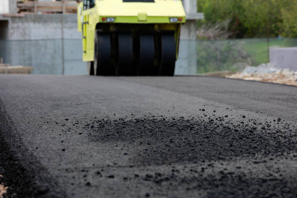 Best Brick Driveway Pavers  in Zephyrhills, FL